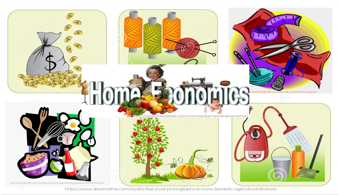 summary-of-he10f-year-10f-home-economics